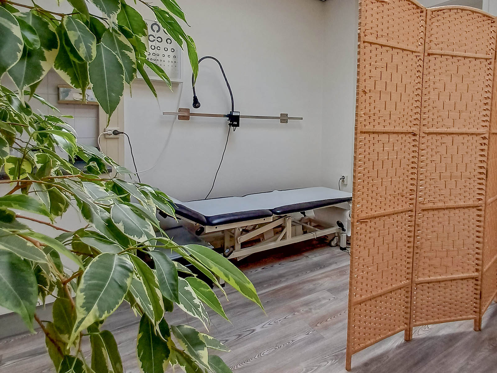 aios kamer Huisarts Perte
